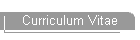 Curriculum Vitae